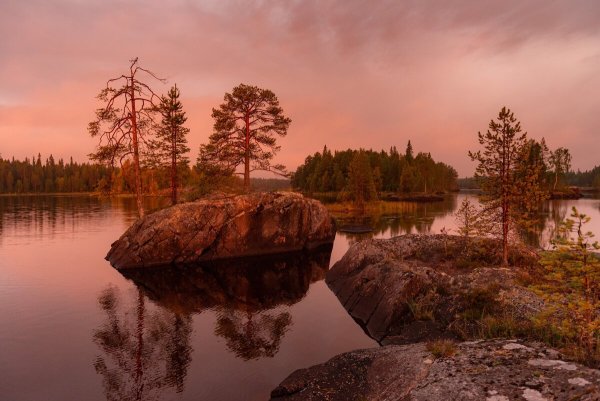 Ладожские шхеры лес