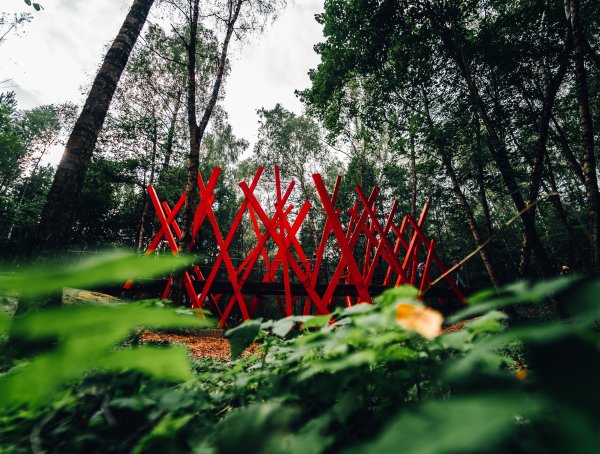 Никола Ленивец лес