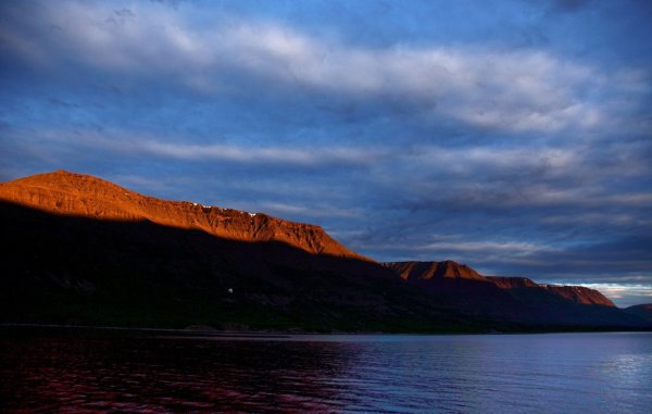 Оз лама Таймыр