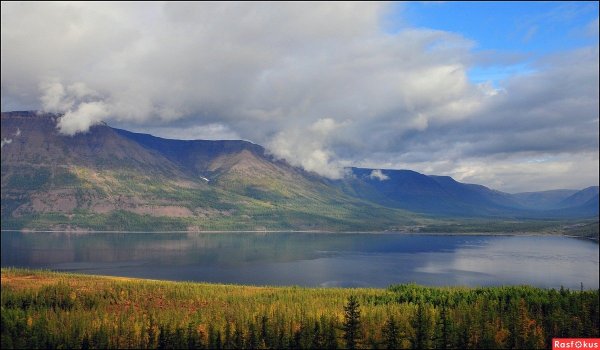 Таймыр озеро лама