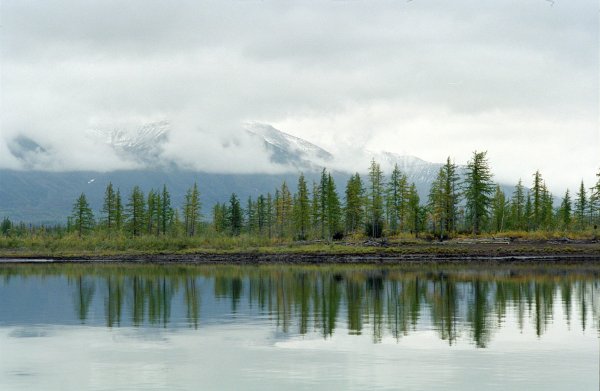 Таймыр озеро лама