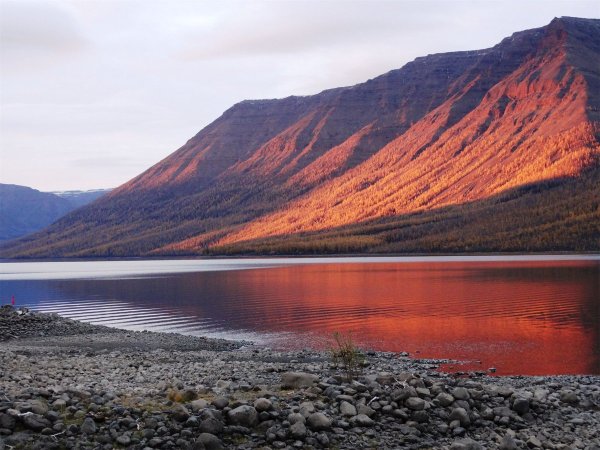 Таймыр плато Путорана