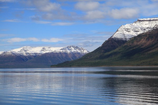 Таймыр озеро лама