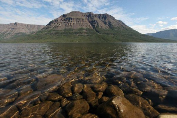 Таймыр озеро лама