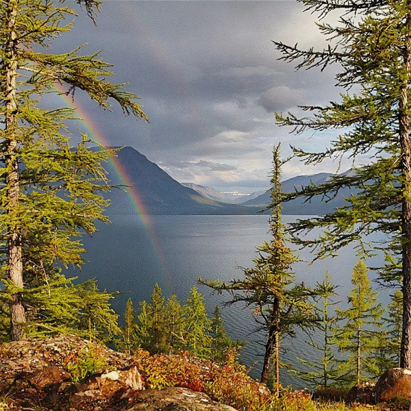 Таймыр озеро лама