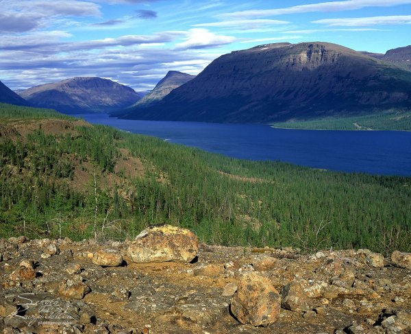 Таймыр озеро лама