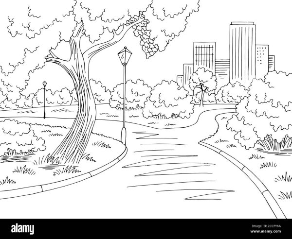 Раскраска парк с деревьями