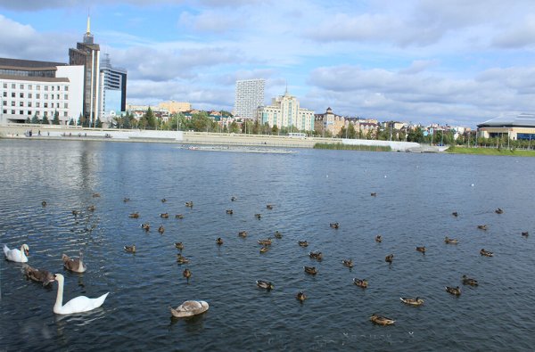 Оз Нижний кабан Казань