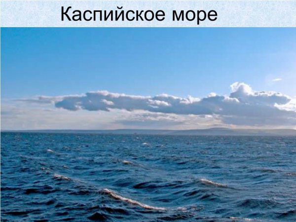 Морской среды Каспийского моря