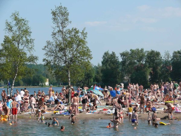 Красное село озеро Безымянное пляж