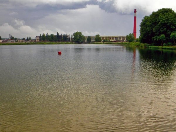 Красное село озеро Безымянное пляж