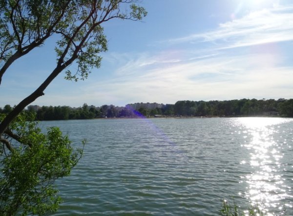 Красное село озеро Безымянное пляж