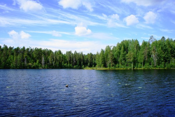 Безымянное (озеро, Санкт-Петербург)