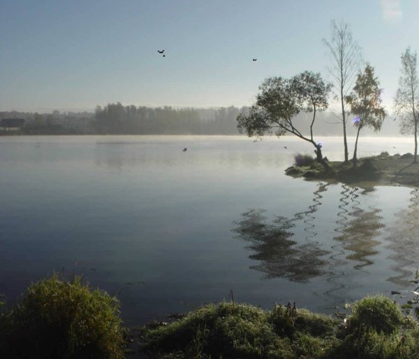 Красное село озеро Дудергофское
