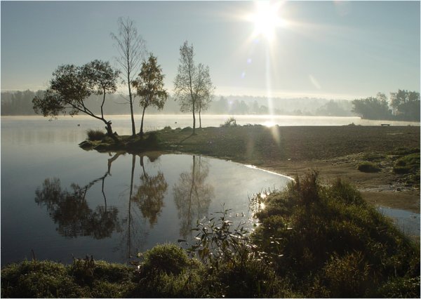 Озеро в Красном селе