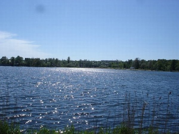 Безымянное озеро в Красном селе