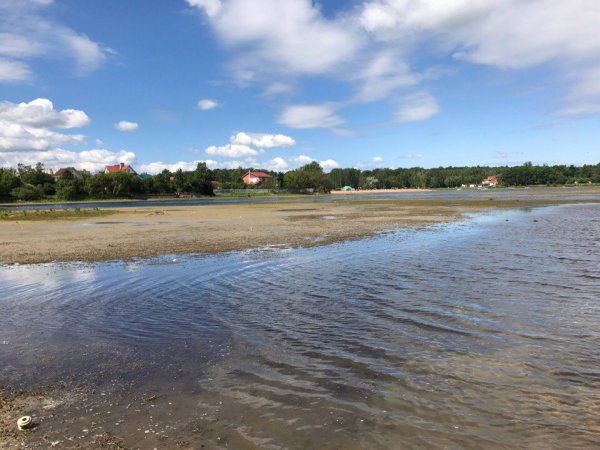 Безымянное озеро в Красном селе