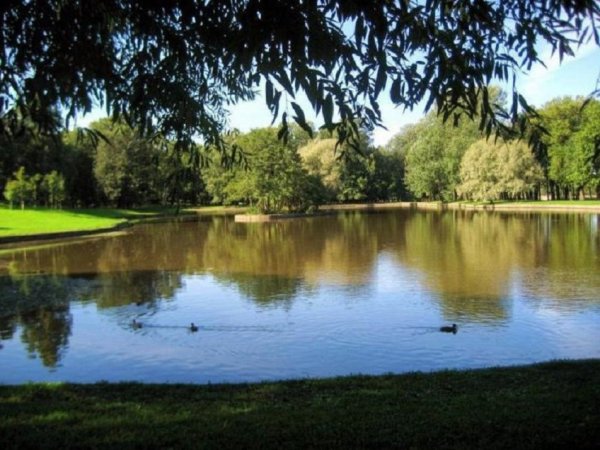 Парк и озеро Безымянное красное село