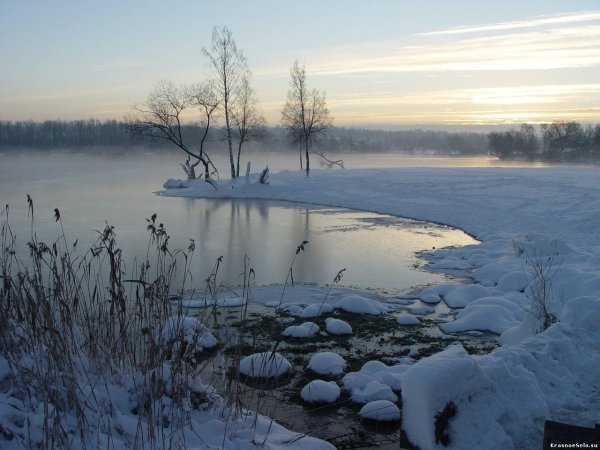 Безымянное озеро в Красном селе зимой