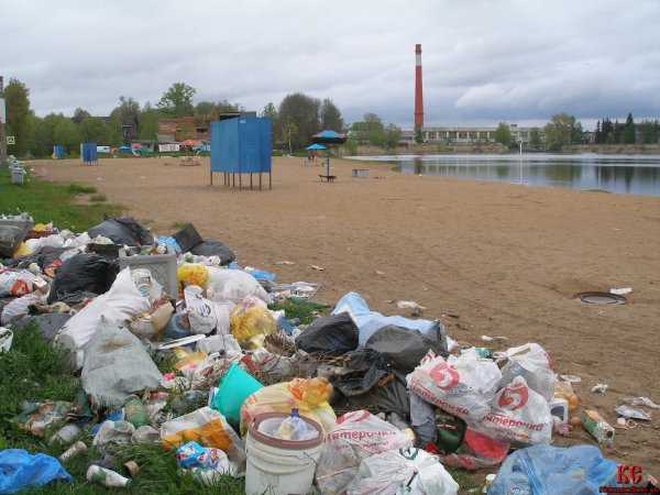 Пляж ДСК Брянск