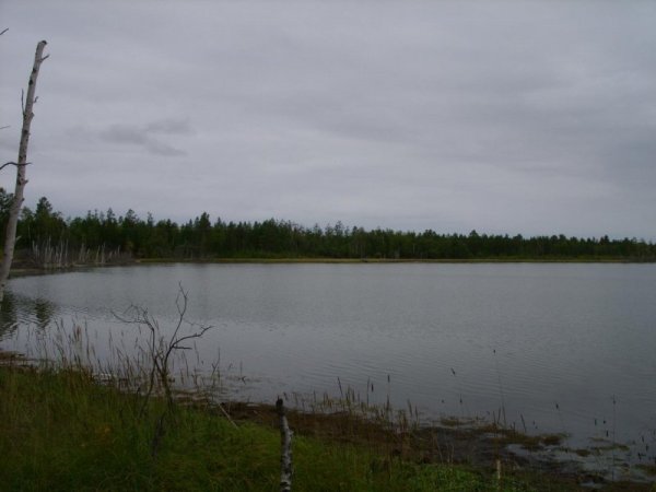 Озеро Безымянное Челябинская область