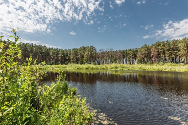 Озеро вблизи
