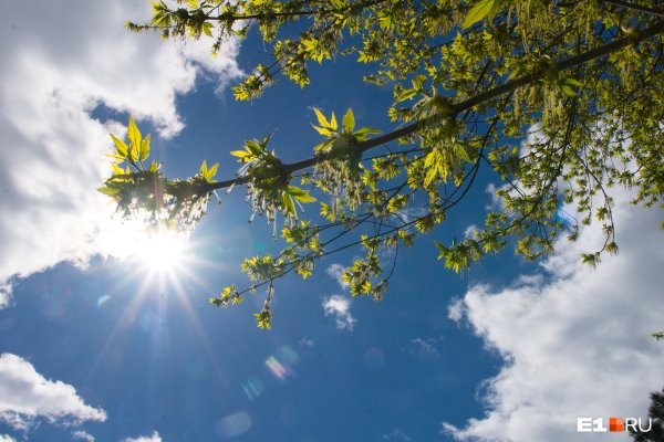 Погода лето