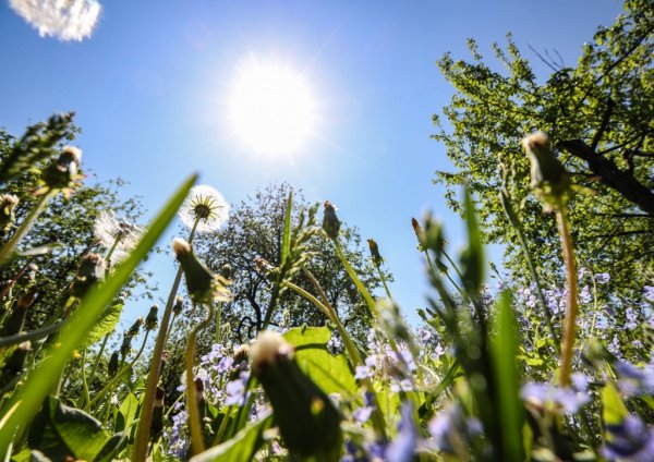 Ветер лето 35 солнце