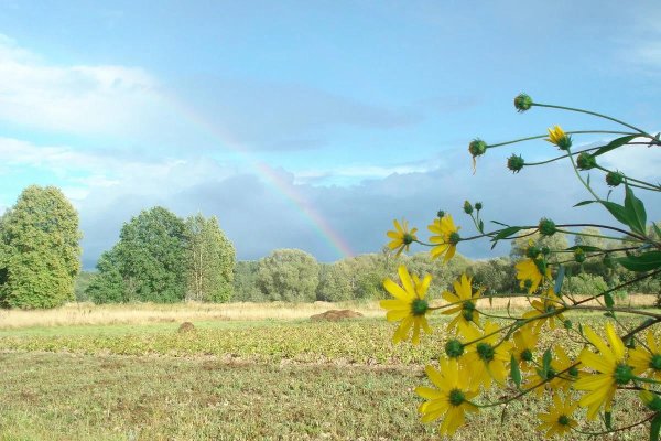 Лето жара природа