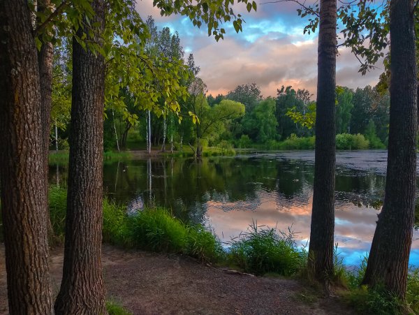 Парк в Малаховке у озера