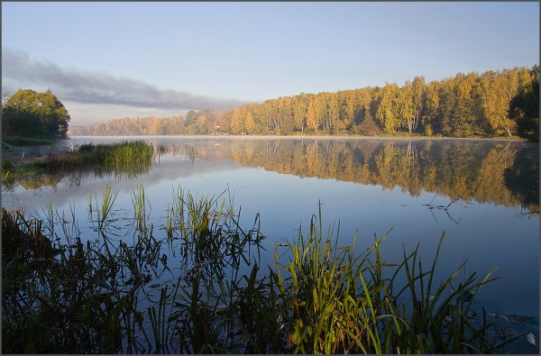 Парк в Малаховке у озера