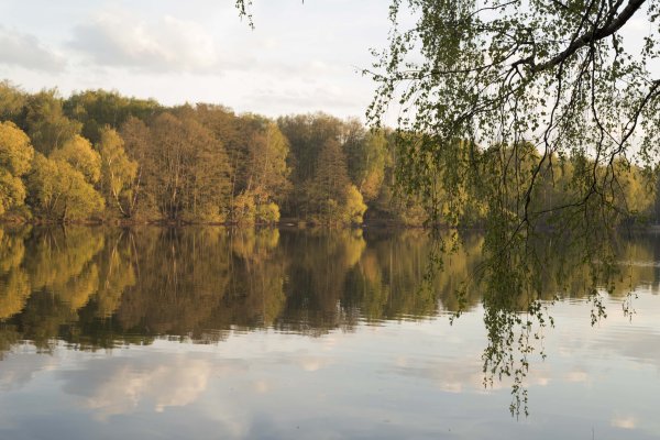 Парк в Малаховке у озера
