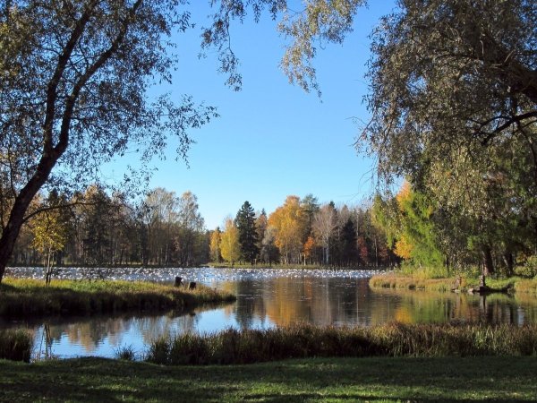 Парк в Малаховке у озера