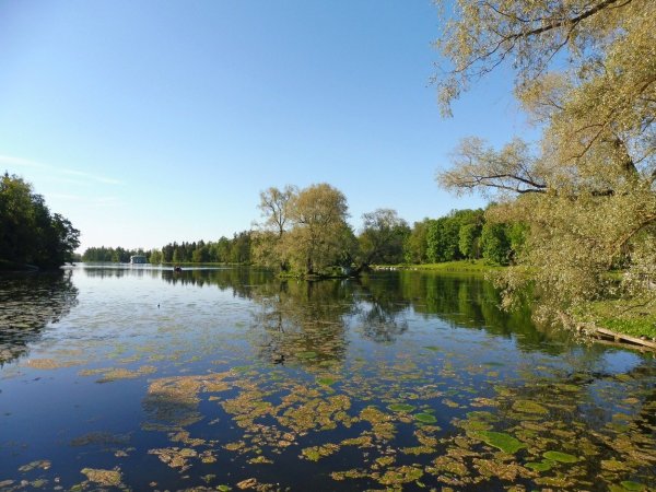 Малаховское озеро природа