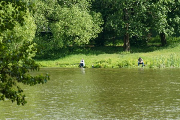 Малаховское озеро Московская область