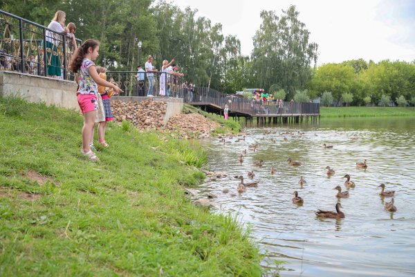 Благоустройство Малаховского озера народная программа