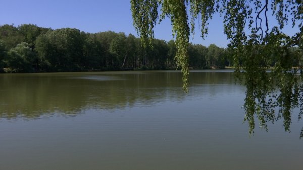 Малаховское озеро Люберцы