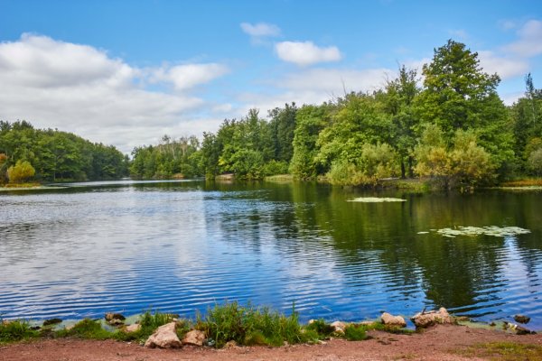 Чебоксарский Ботанический сад Чебоксары