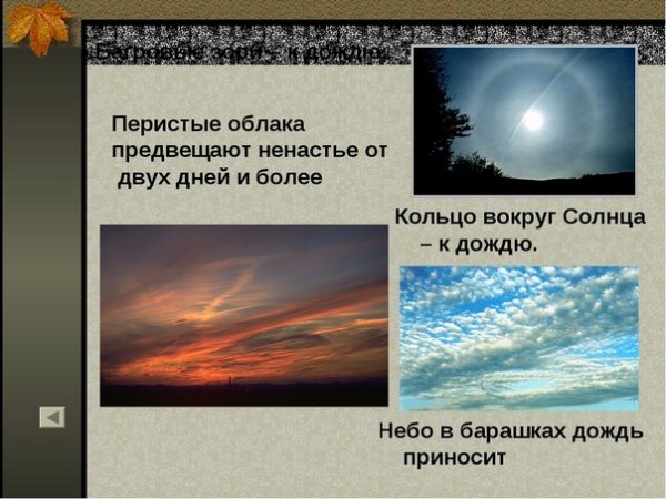 Народная примета которая предвещает погоду