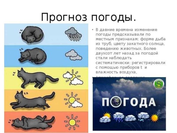 Признаки предсказывающие погоду