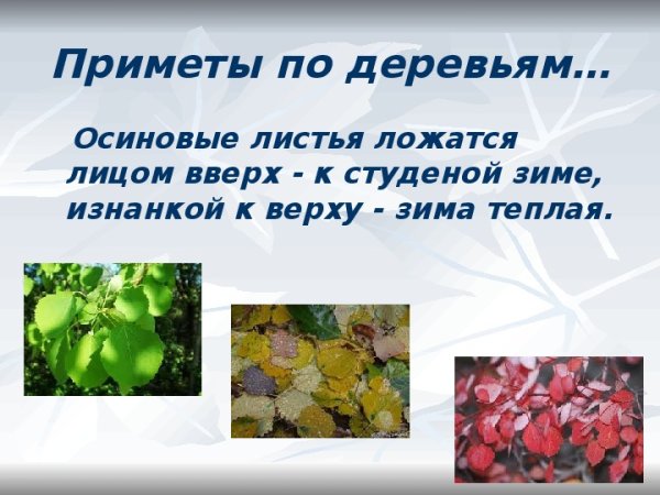 Народные приметы о погоде