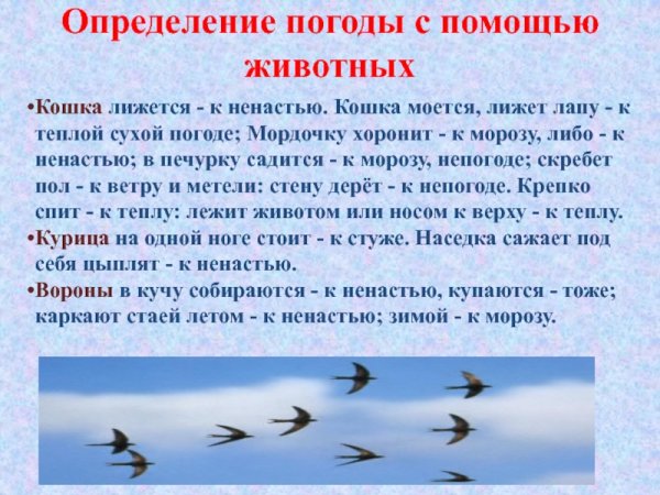 Погода это определение