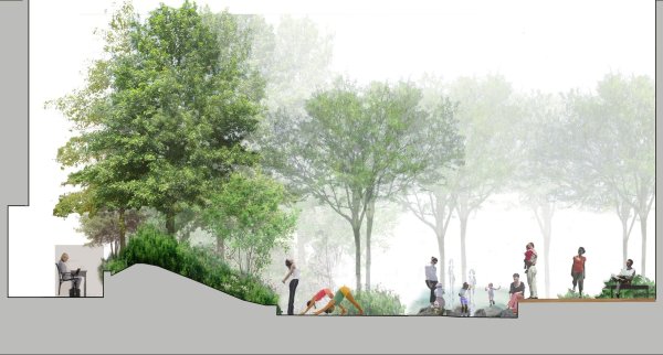 Деревья для архитектурной визуализации