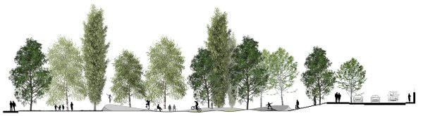 Антураж деревья архикад