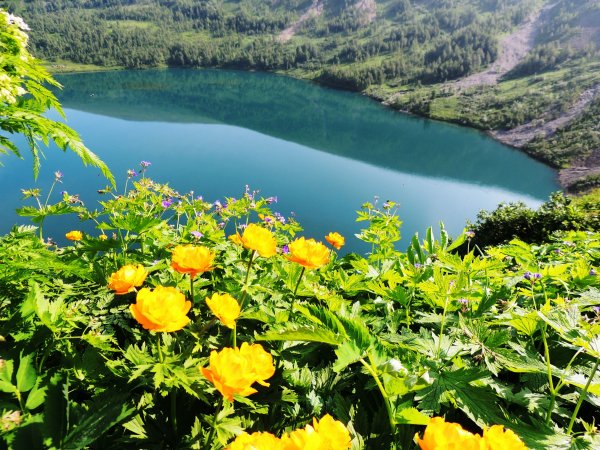 Озеро Сабинка Хакасия