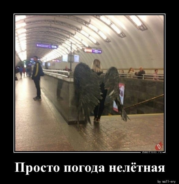 Приколы про нелетную погоду