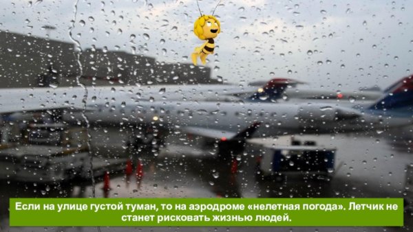 Нелетная погода осенние туманы