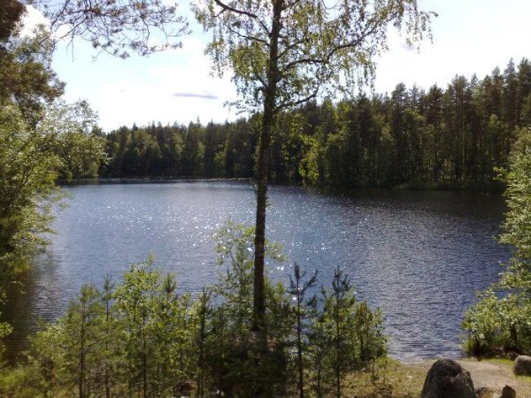 Барковское озеро Ленинградская область
