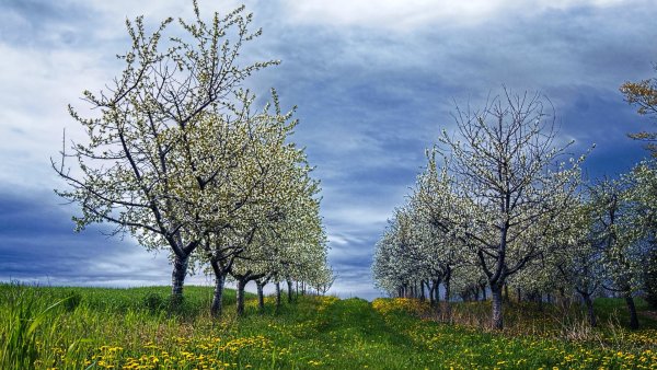 Поздняя Весна в России