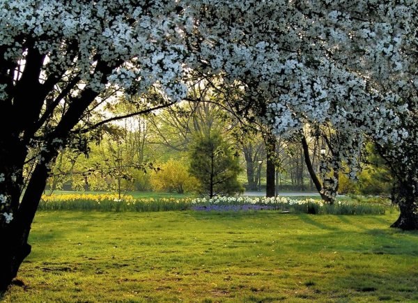 Поздняя Весна природа